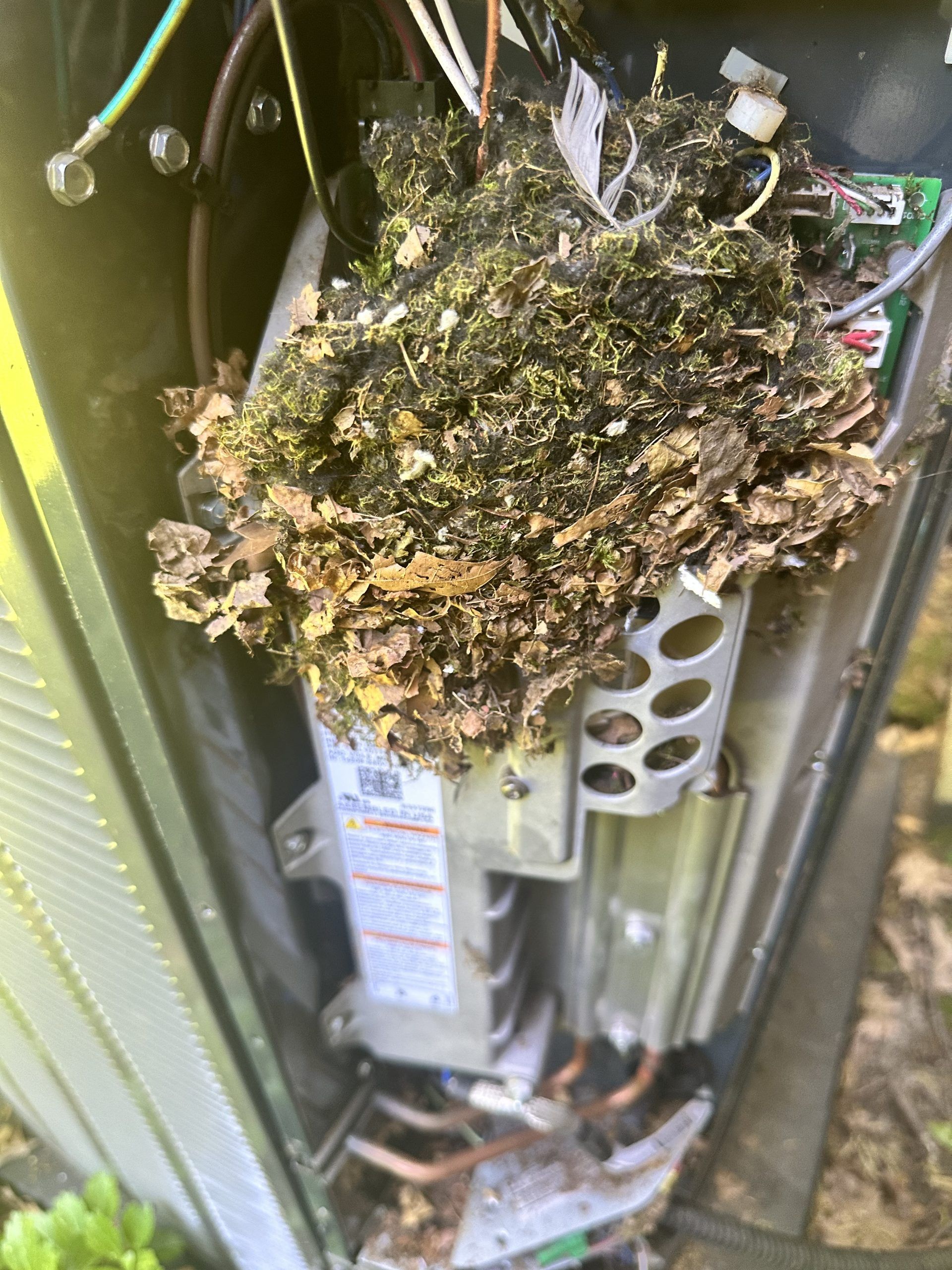 Debris, possibly leaves and dirt, accumulated inside an outdoor electrical component.