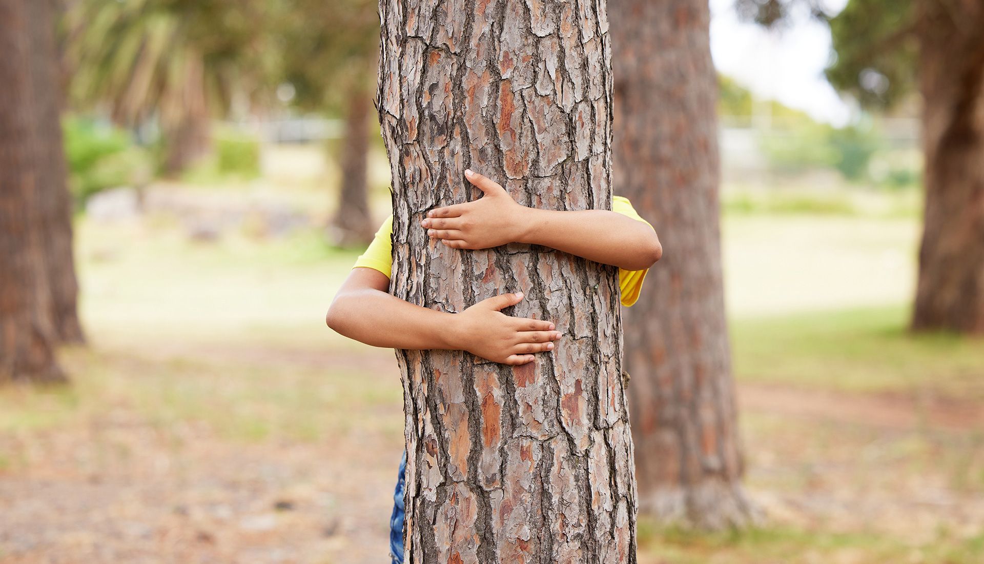 Person hugging a tree trunk in a park setting.