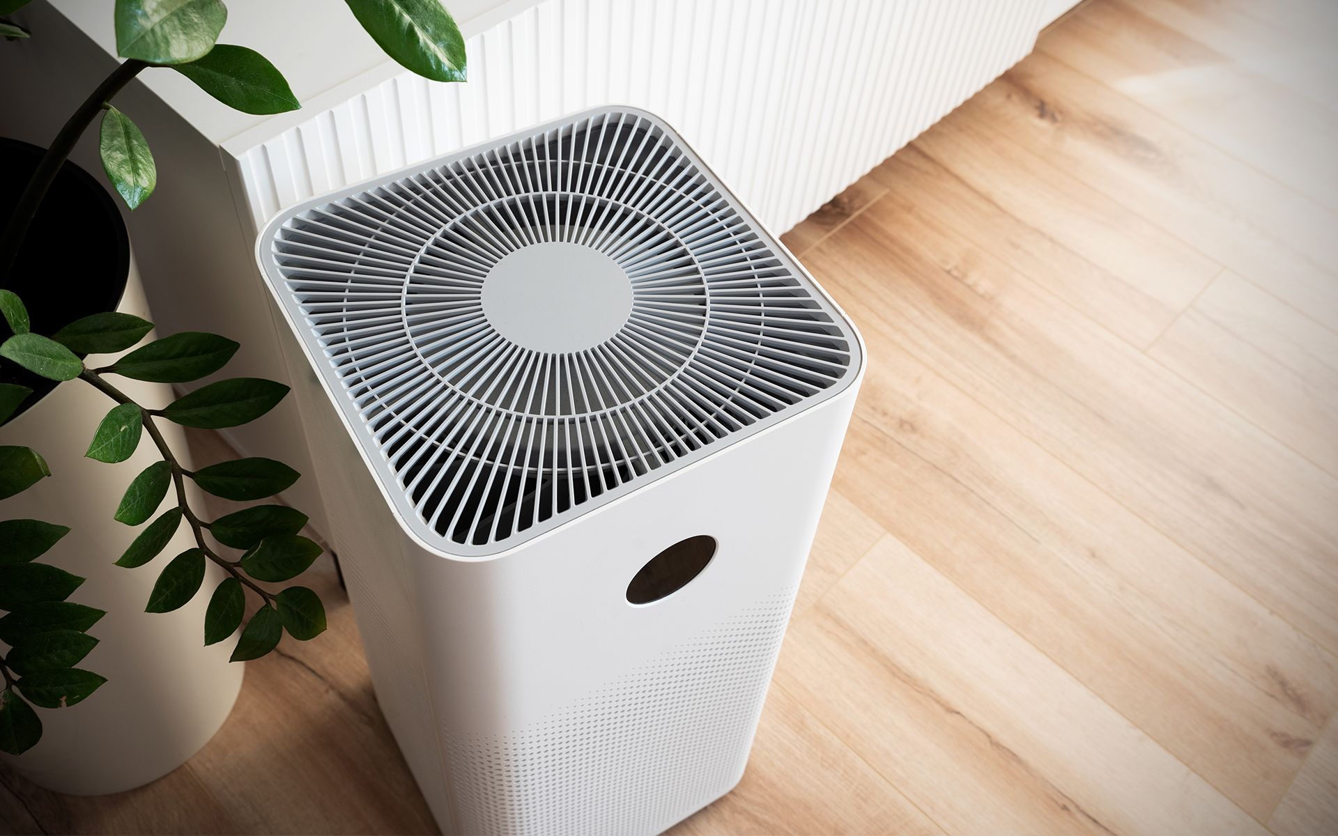 White air purifier on wooden floor near potted plants.