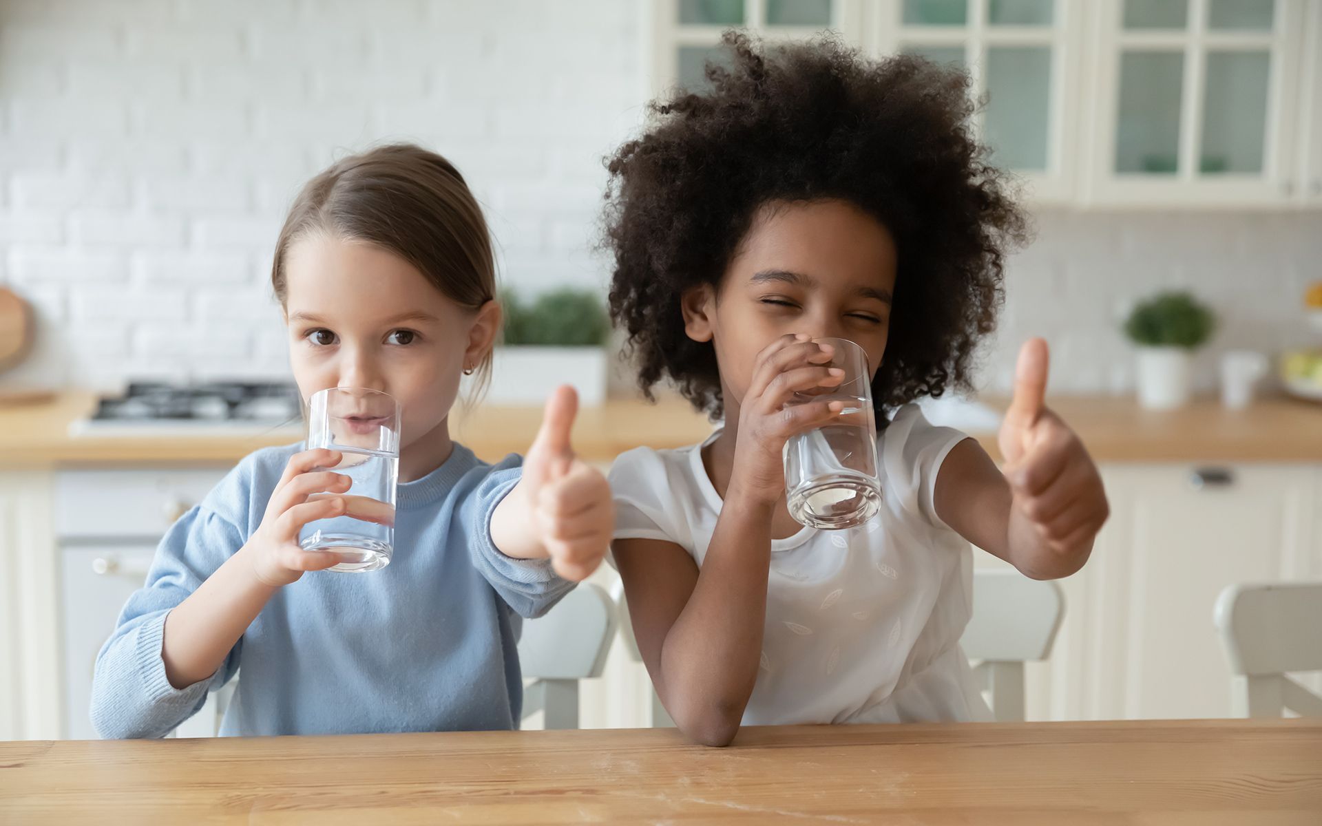 Reverse Osmosis vs. Refrigerator Filters: Which is Best?