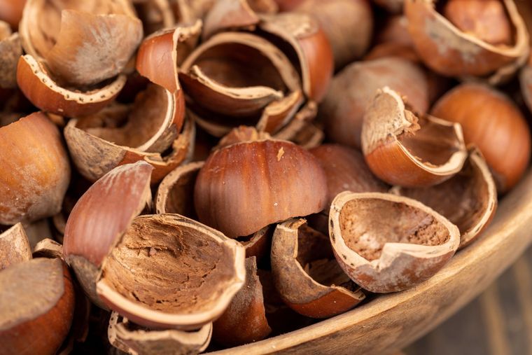 gusci di nocciola