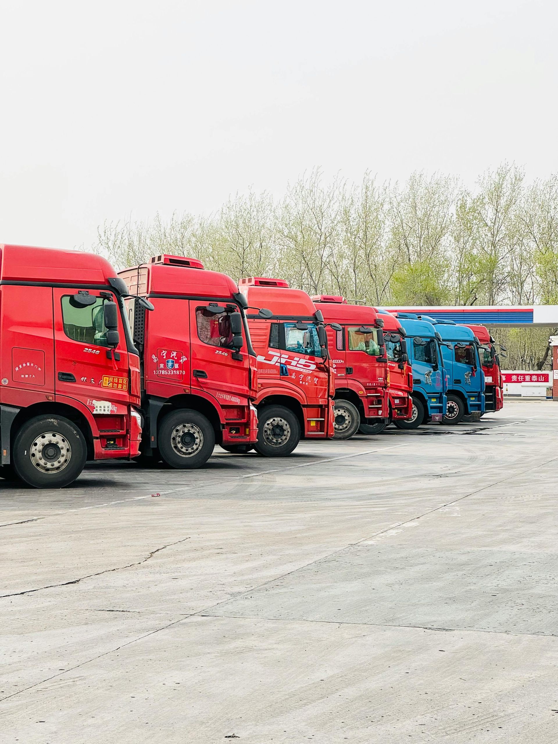A row of red and blue trucks are parked in a parking lot.
