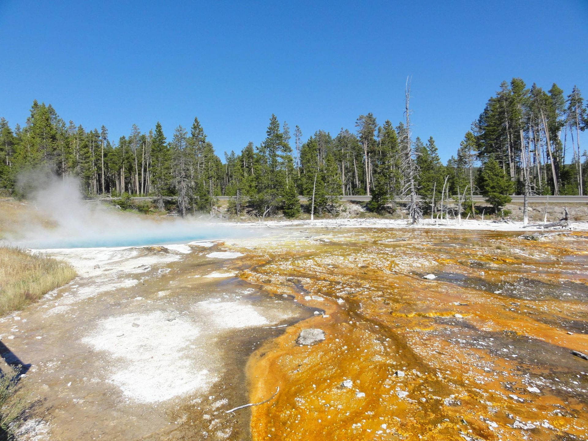 Steaming hot spring with orange mineral deposits beside a forest and clear blue sky