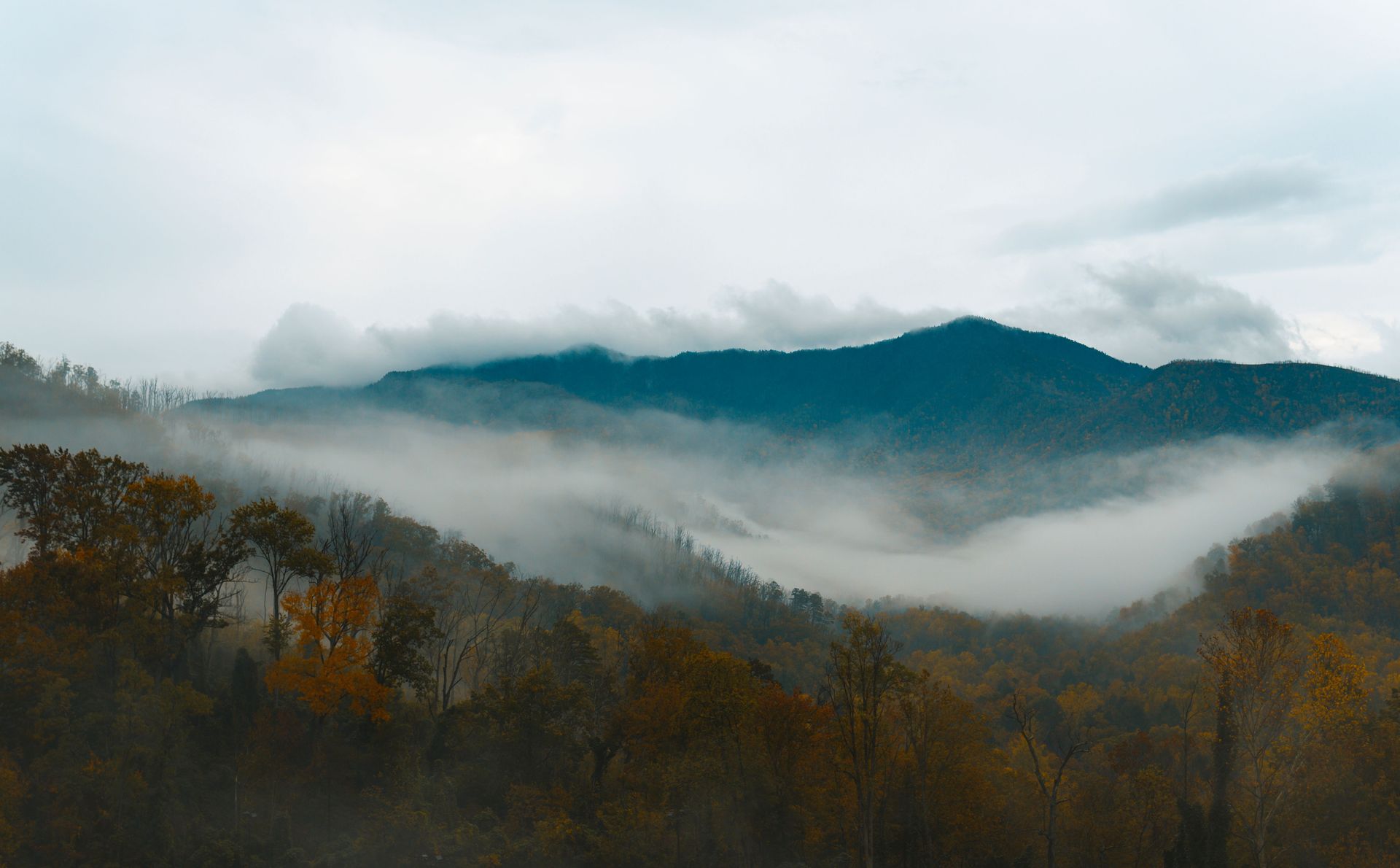 Great Smoky Mountains National Park, TN/NC