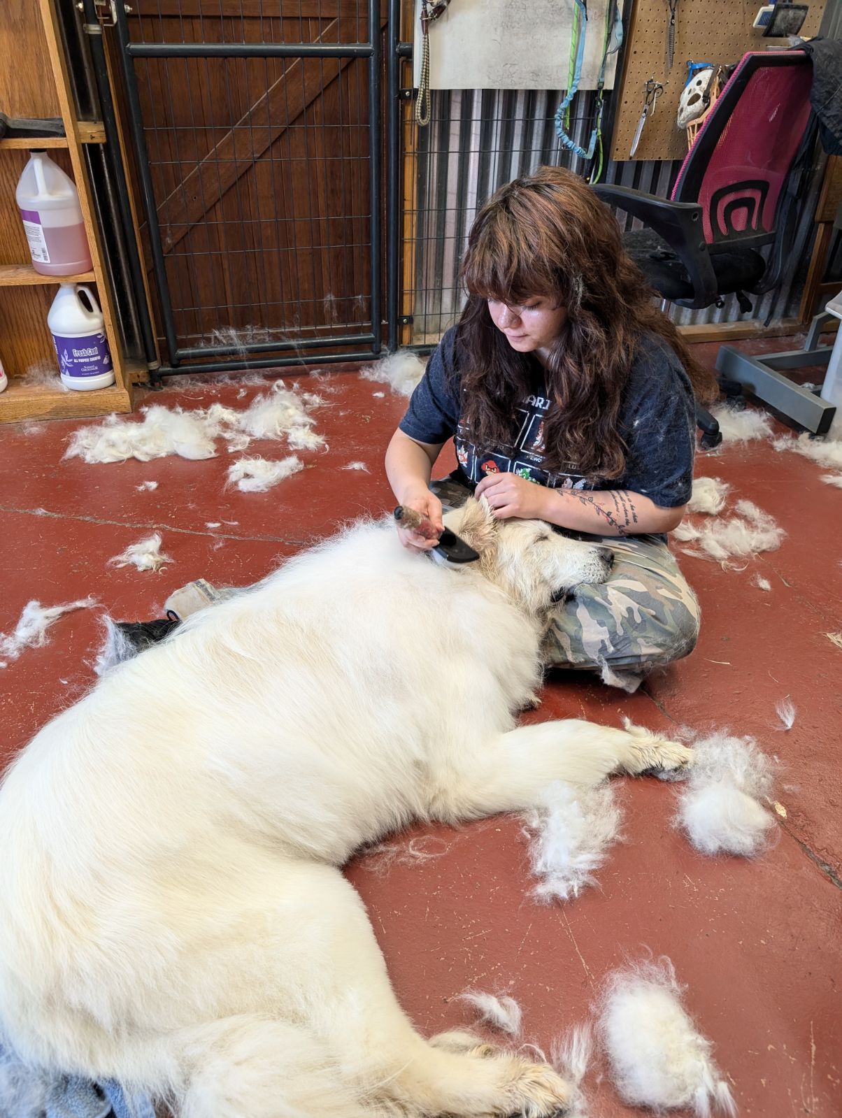 A woman is kneeling down next to a large white dog that has been shaved.