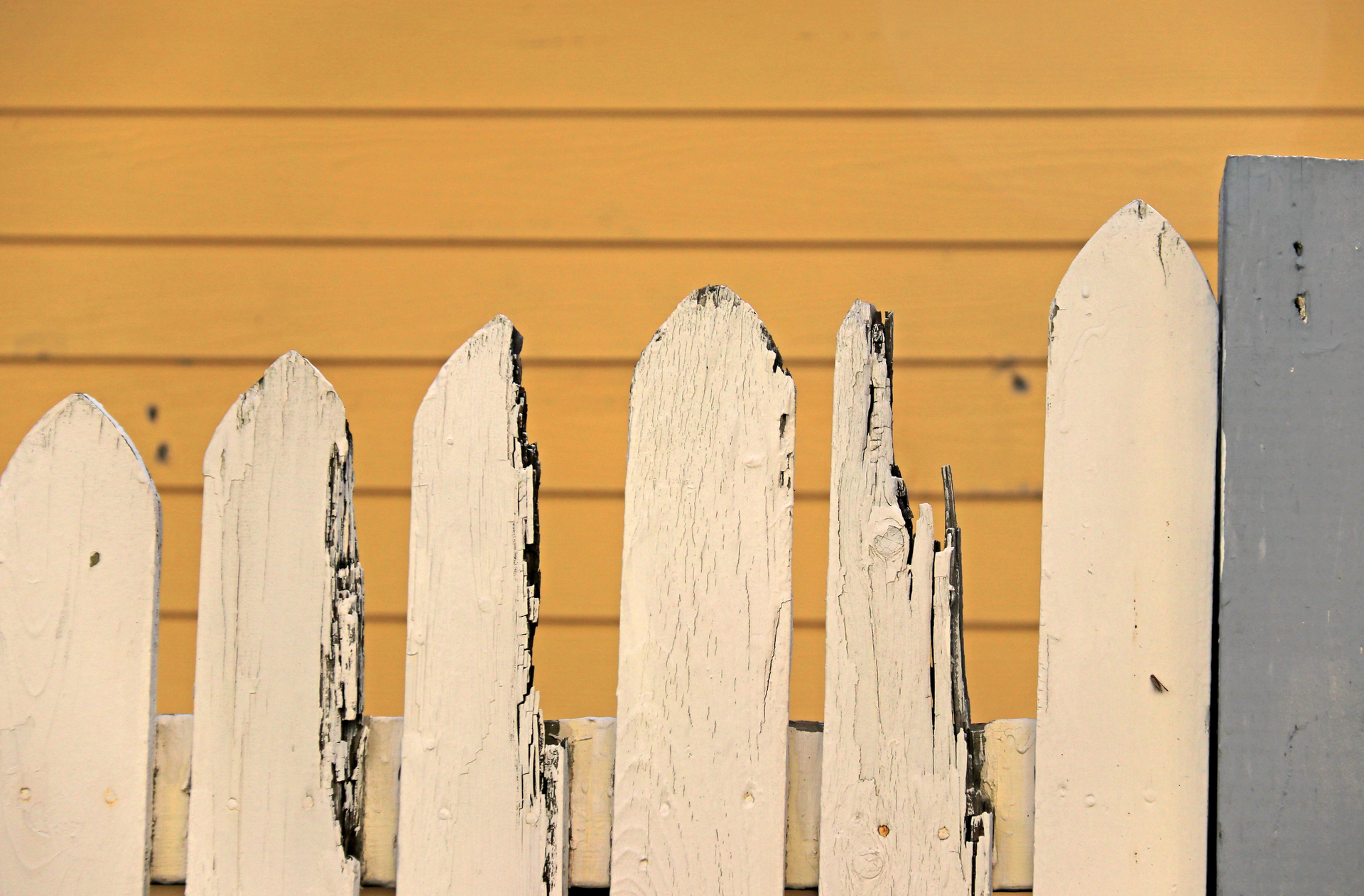A white picket fence is against a yellow wall.