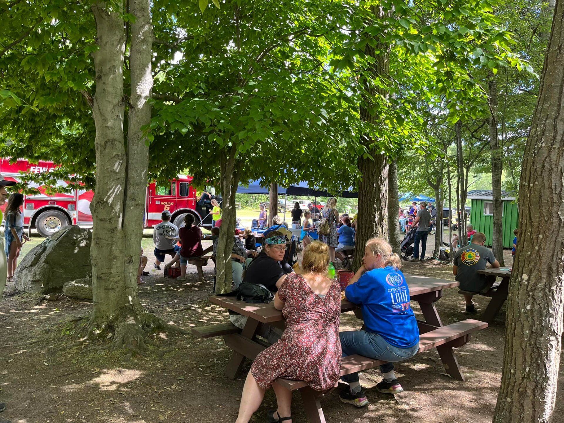 A group of people are sitting at picnic tables in a park.