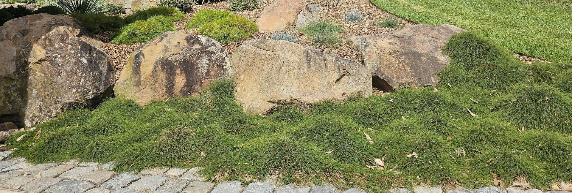 Rocks and green plants are in a garden bed next to a paved pathway and lawn.