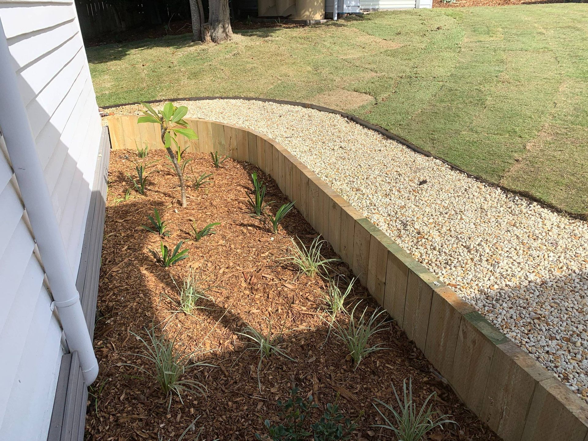 Wooden-edged garden bed with mulch and young plants, gravel path alongside grass and building.