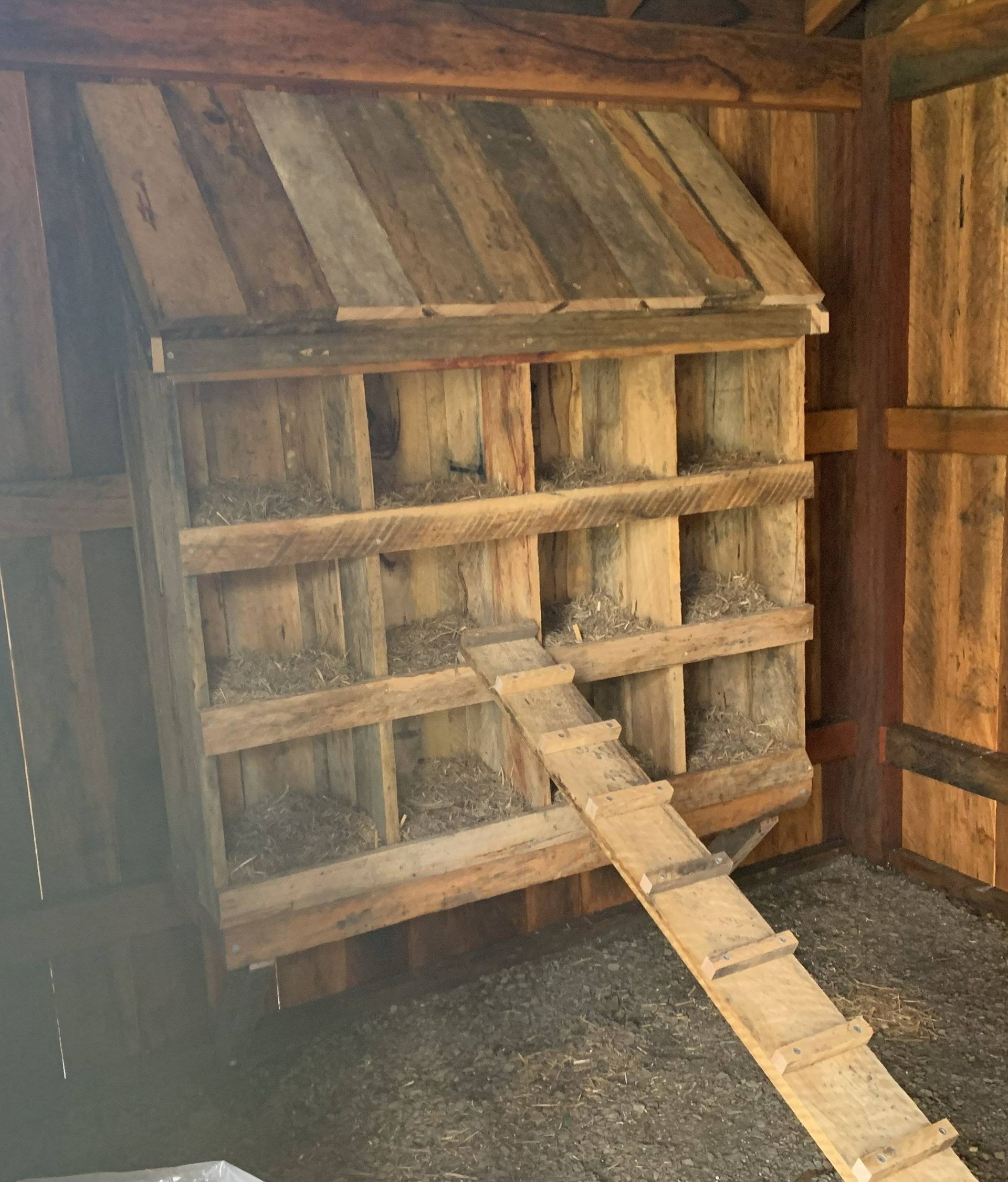 Rustic wooden chicken nesting boxes with a ramp, inside a wooden structure.