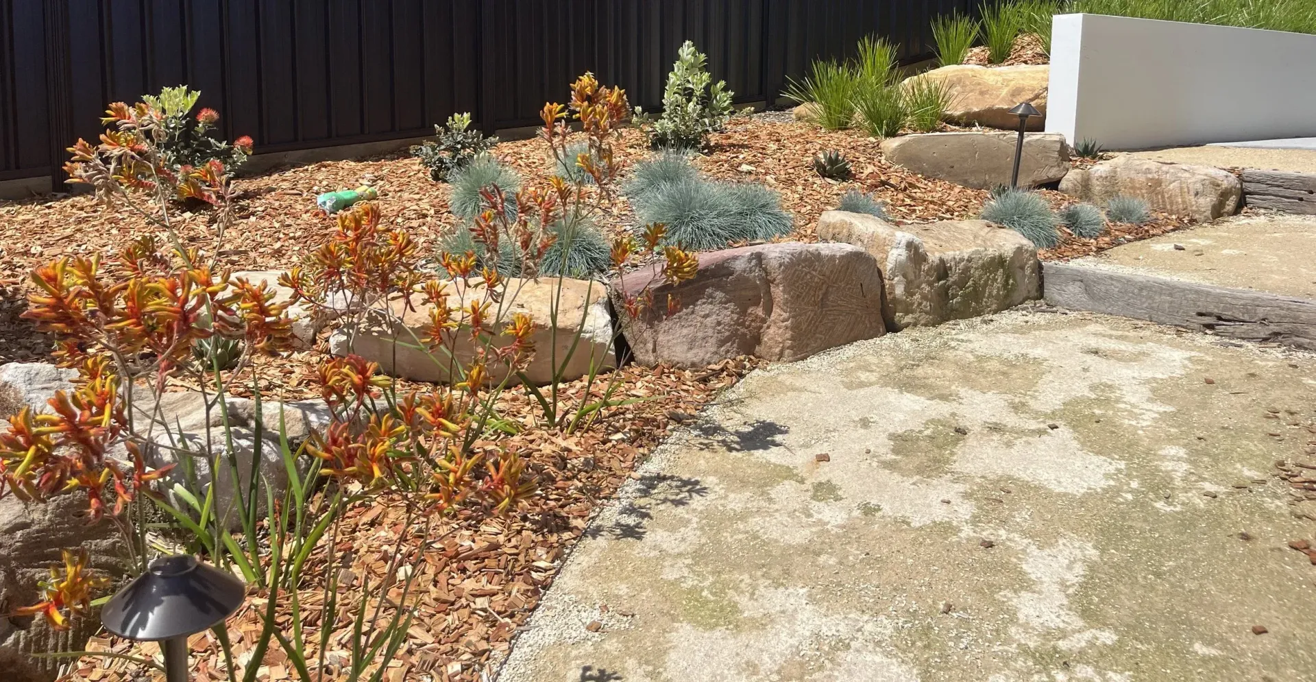 Landscaped garden with orange and blue-green plants, rocks, and gravel, next to stone steps and a wooden fence.