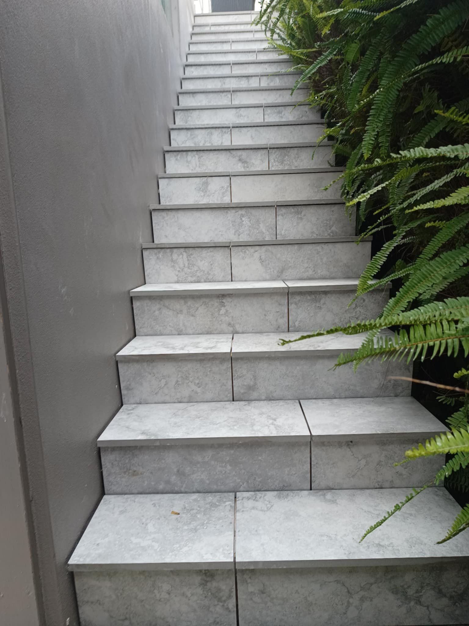 Gray stone stairs ascending, next to a gray wall and green foliage.