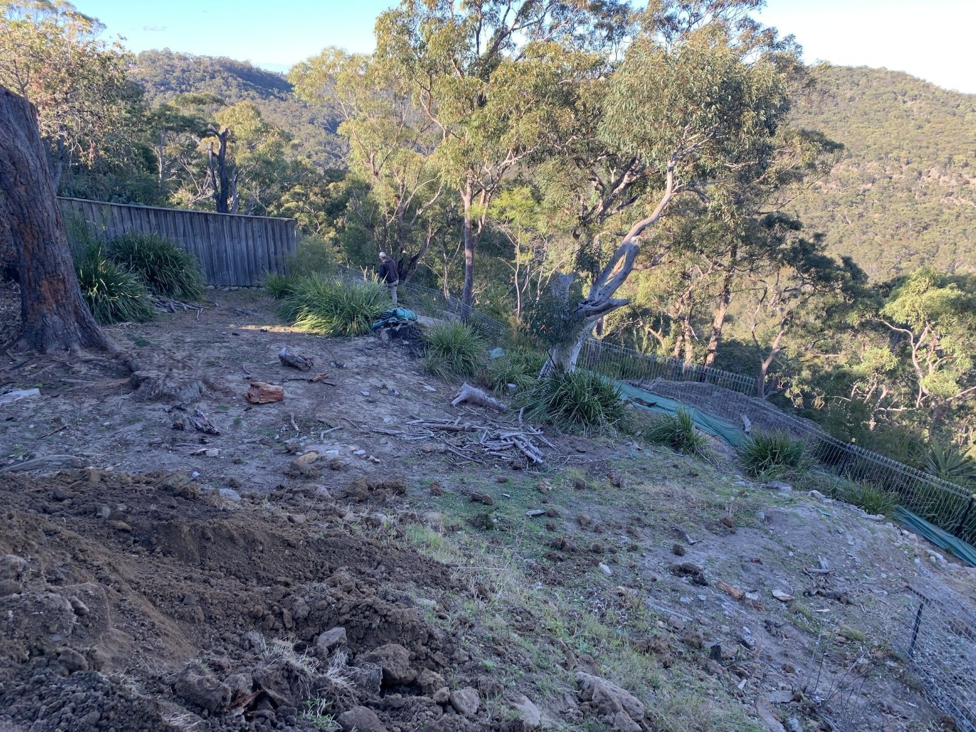 A sloped, dirt area with some vegetation, trees in the background, and a fence.