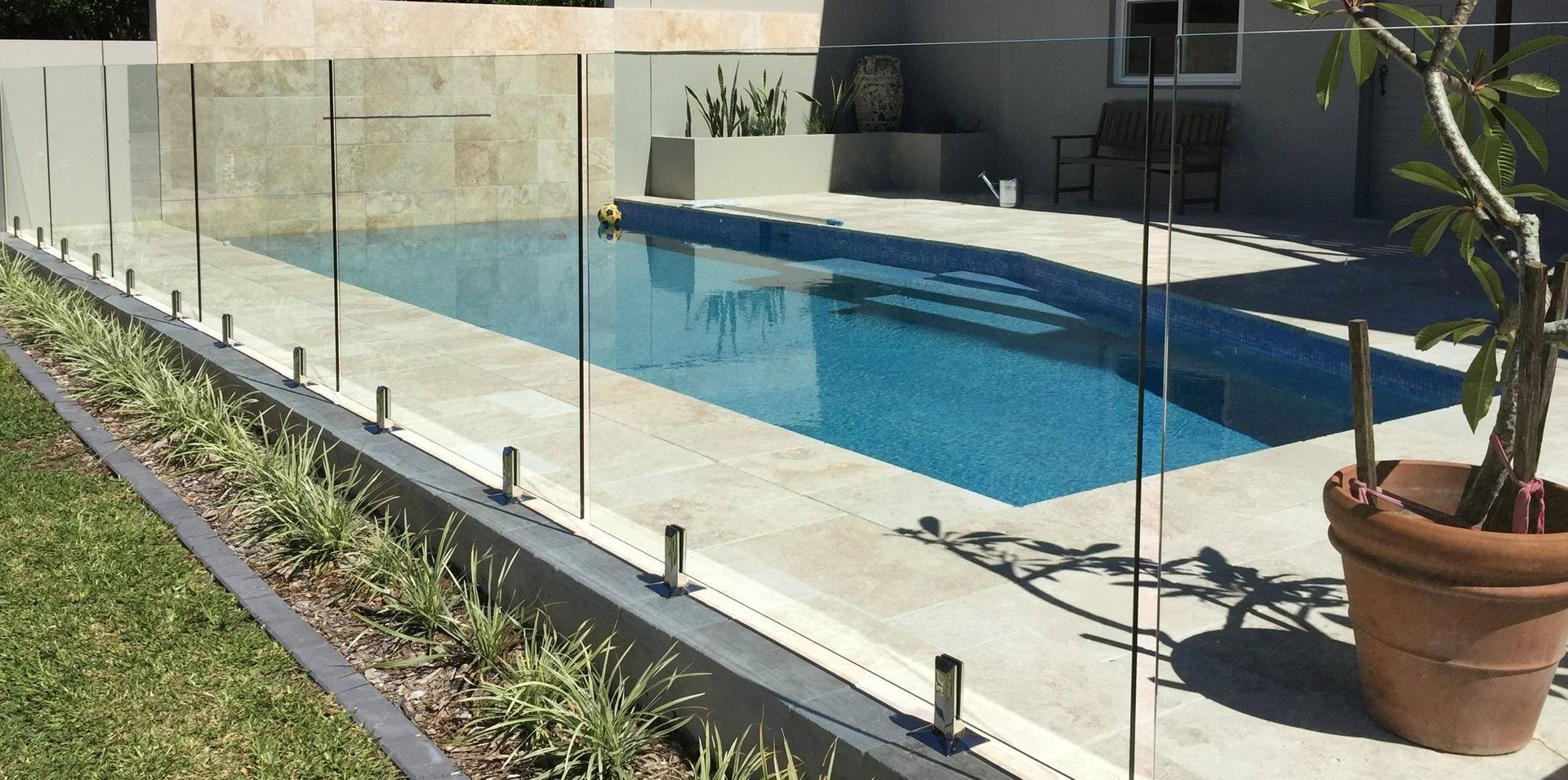 Swimming pool with glass fence. A plant in a pot is in the foreground, with grass in front of the pool.