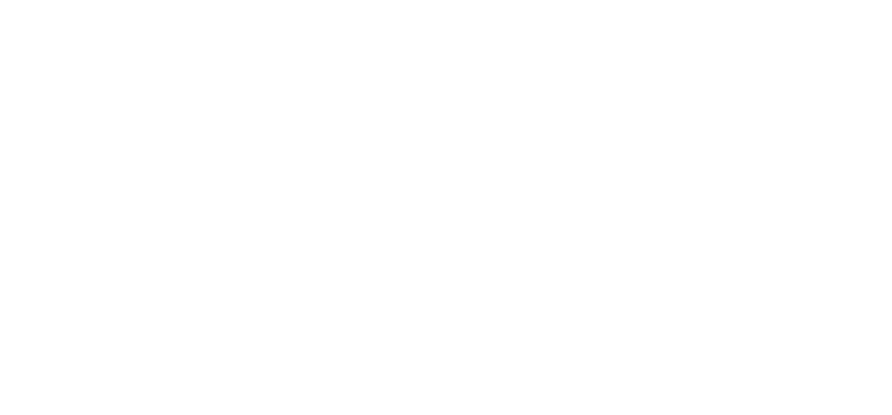 Primer plano de una pequeña planta suculenta con manchas marrones y hojas gruesas, sobre un fondo oscuro y desenfocado.