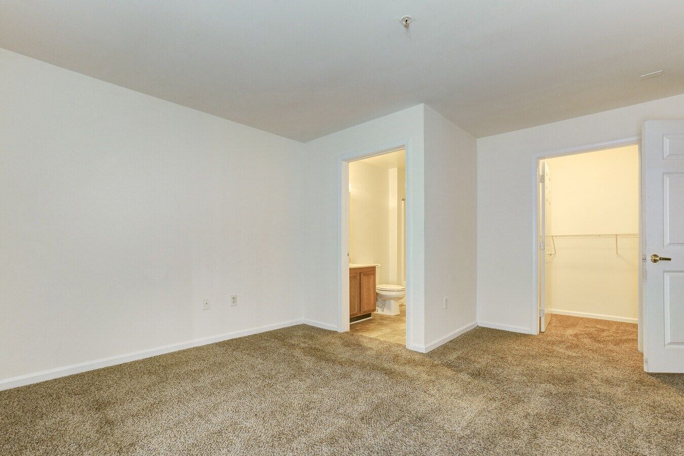 Bedroom with tan carpet, white walls, bathroom, and closet.