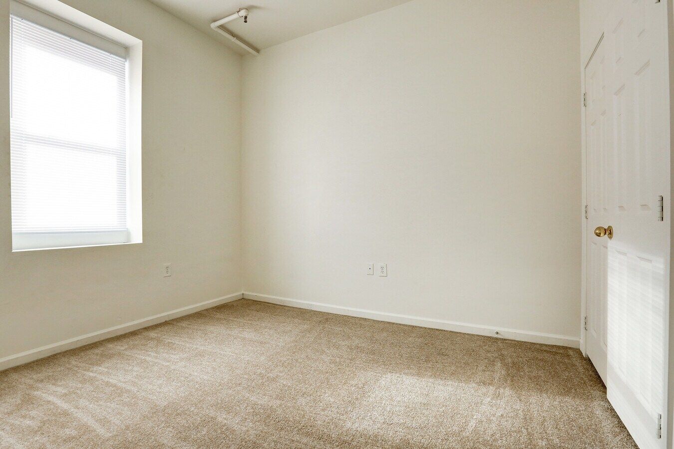Empty room with beige carpet, white walls, window with blinds, and a closed door.