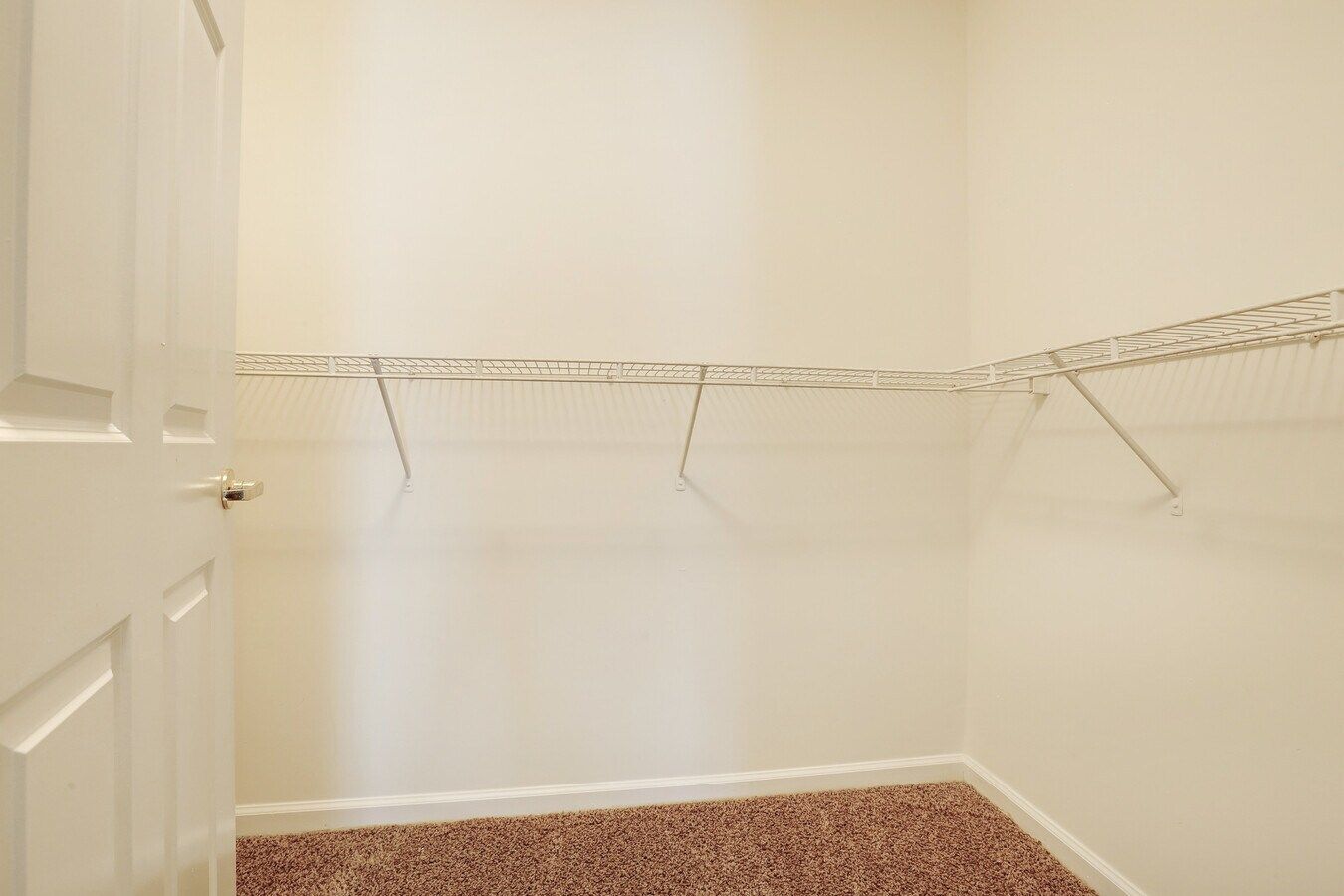 Empty walk-in closet with wire shelves, tan carpet, and off-white walls.