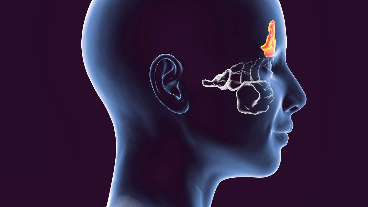 Ear Tubes