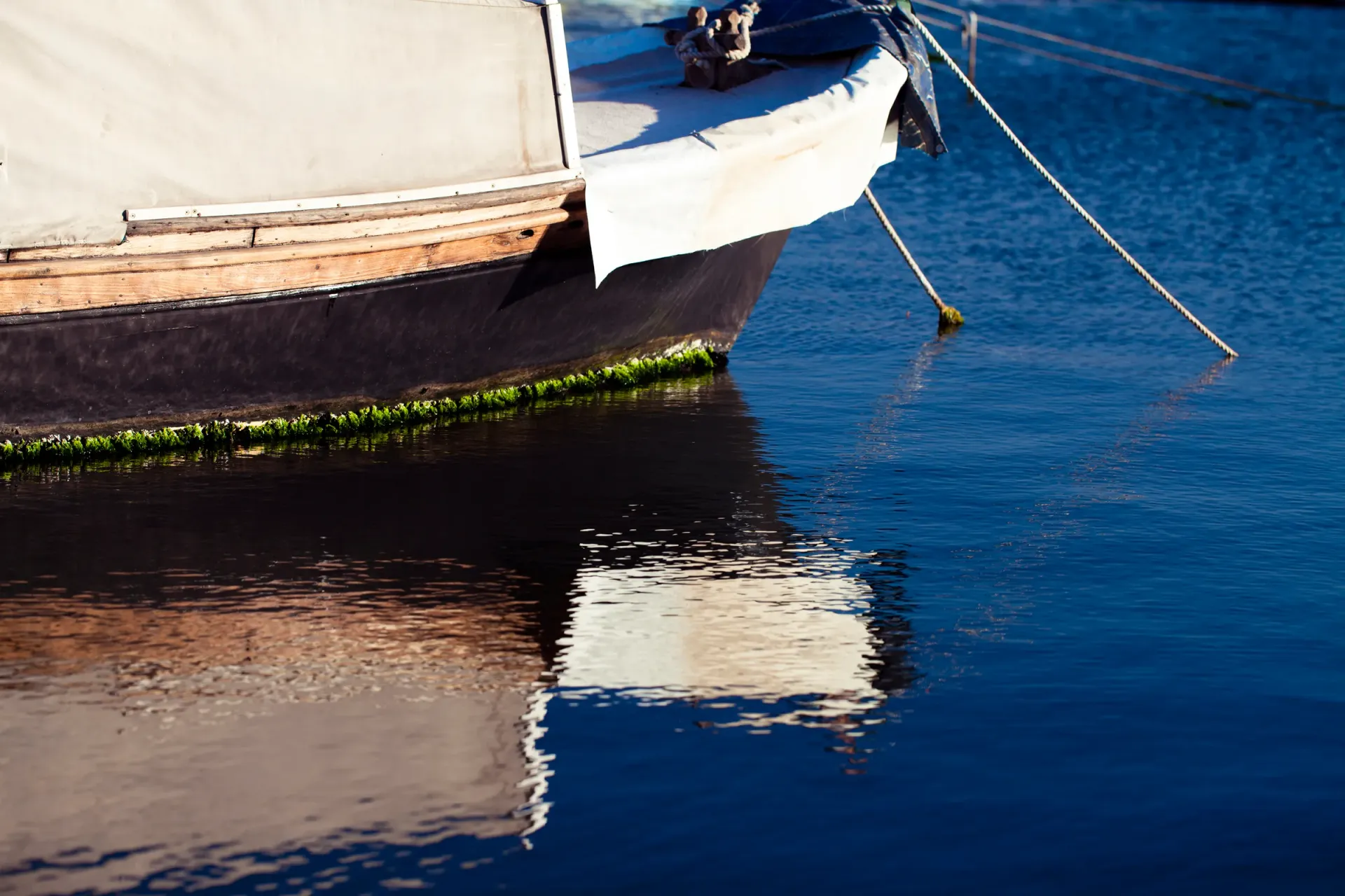 Smooth Auto Detailing Antifouling Detailing