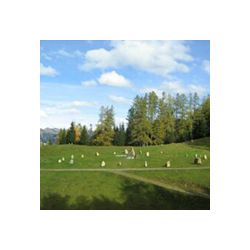 Eine Gruppe von Menschen steht auf einer Wiese, im Hintergrund sind Bäume zu sehen.