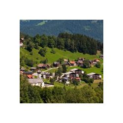 Auf einem Hügel liegt ein kleines Dorf, umgeben von Bäumen.