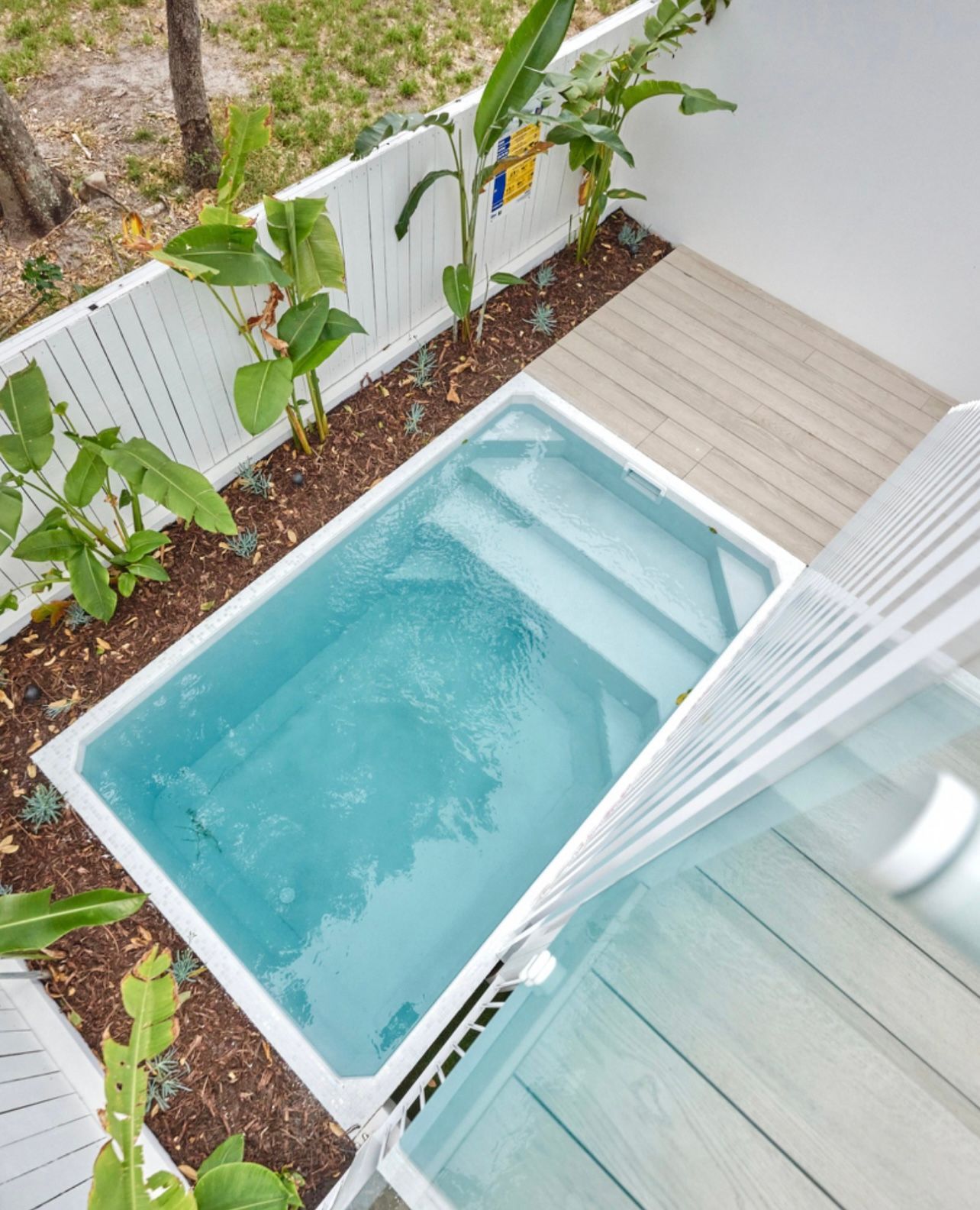 Overhead view of a small rectangular plunge pool with clear blue water, surrounded by a white fence, decking, and lush