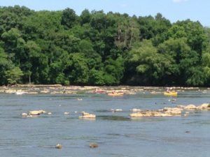 The River Room, Southern Basin