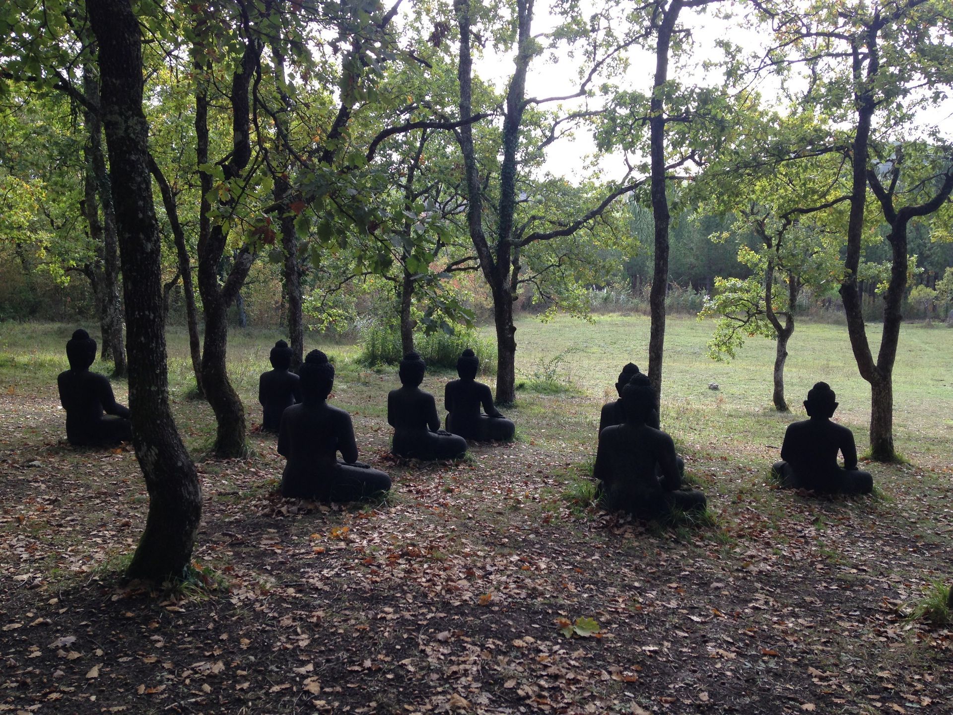 A group of people are sitting under trees in a forest.