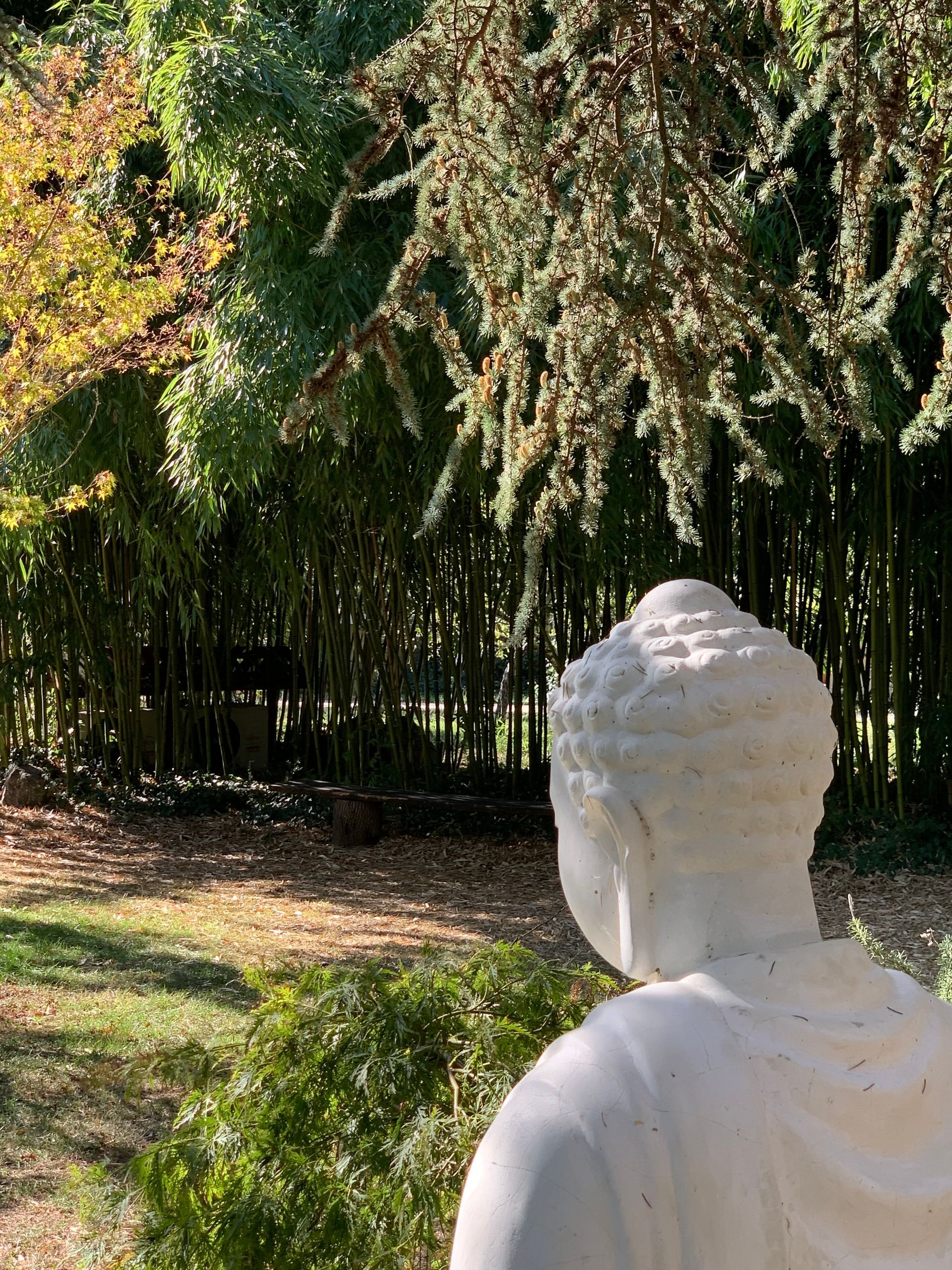 Buddha in Bamboo garden