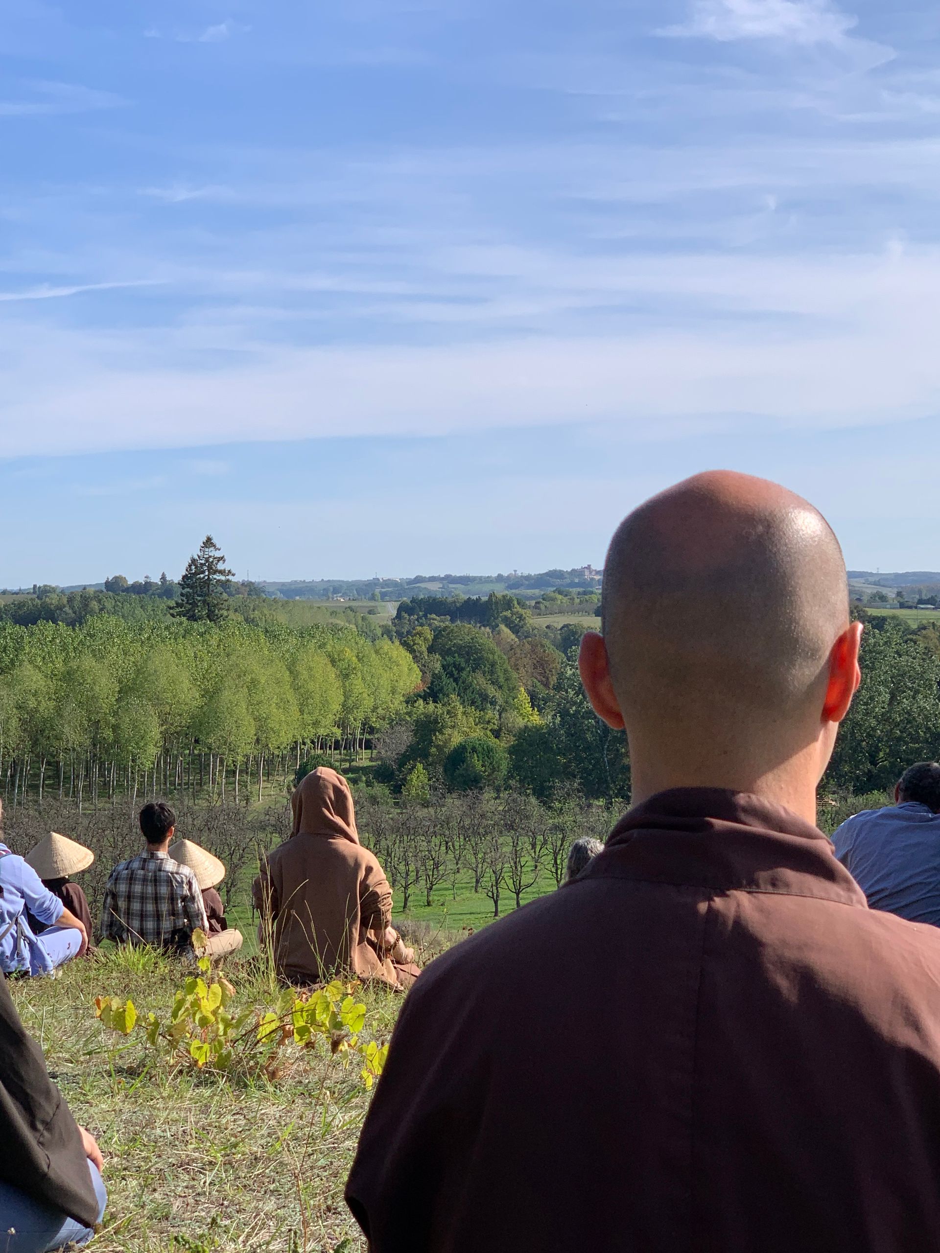 Buddha in Bamboo garden
