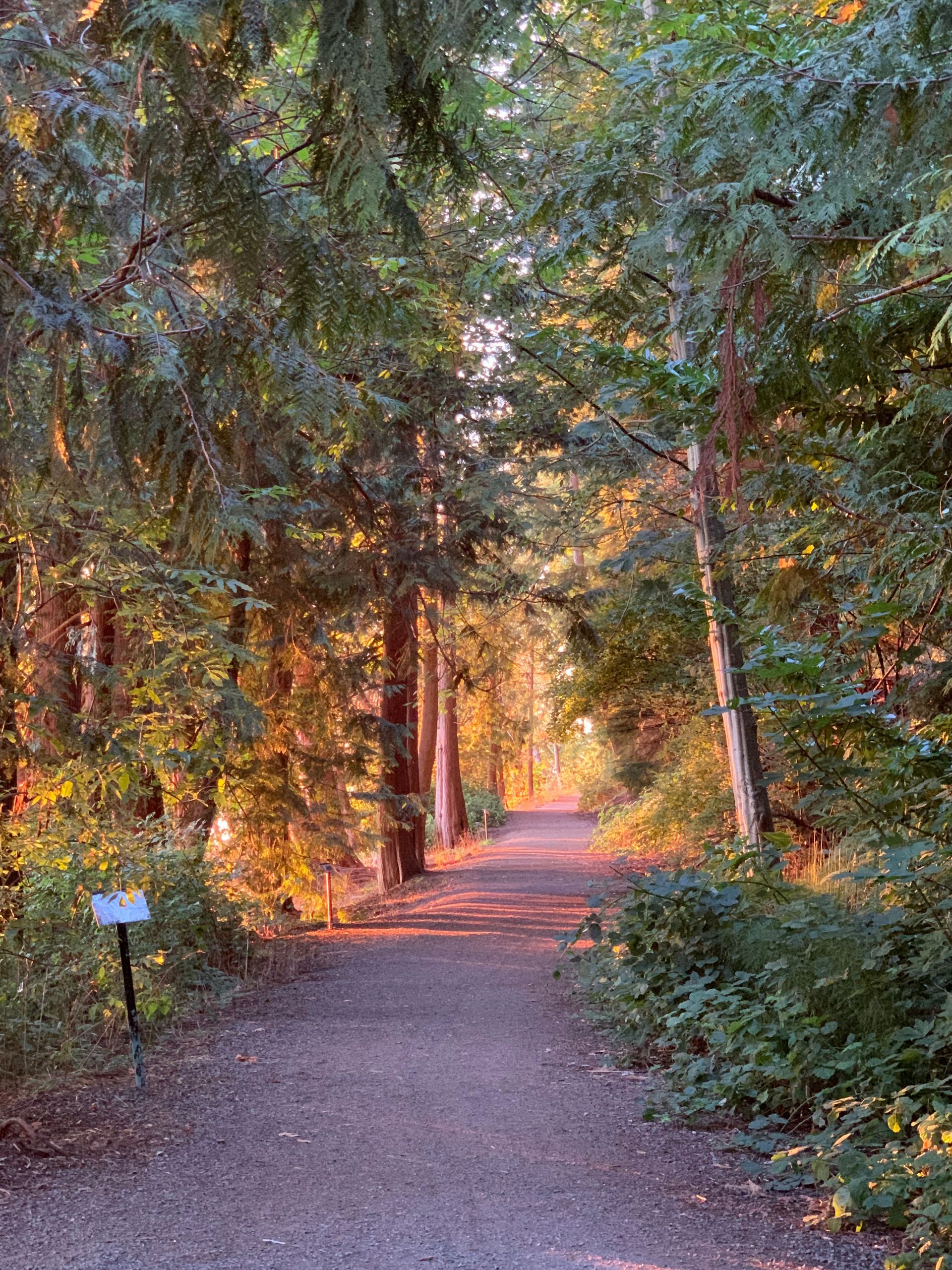 A woman sits in a lotus position on a rock overlooking a river