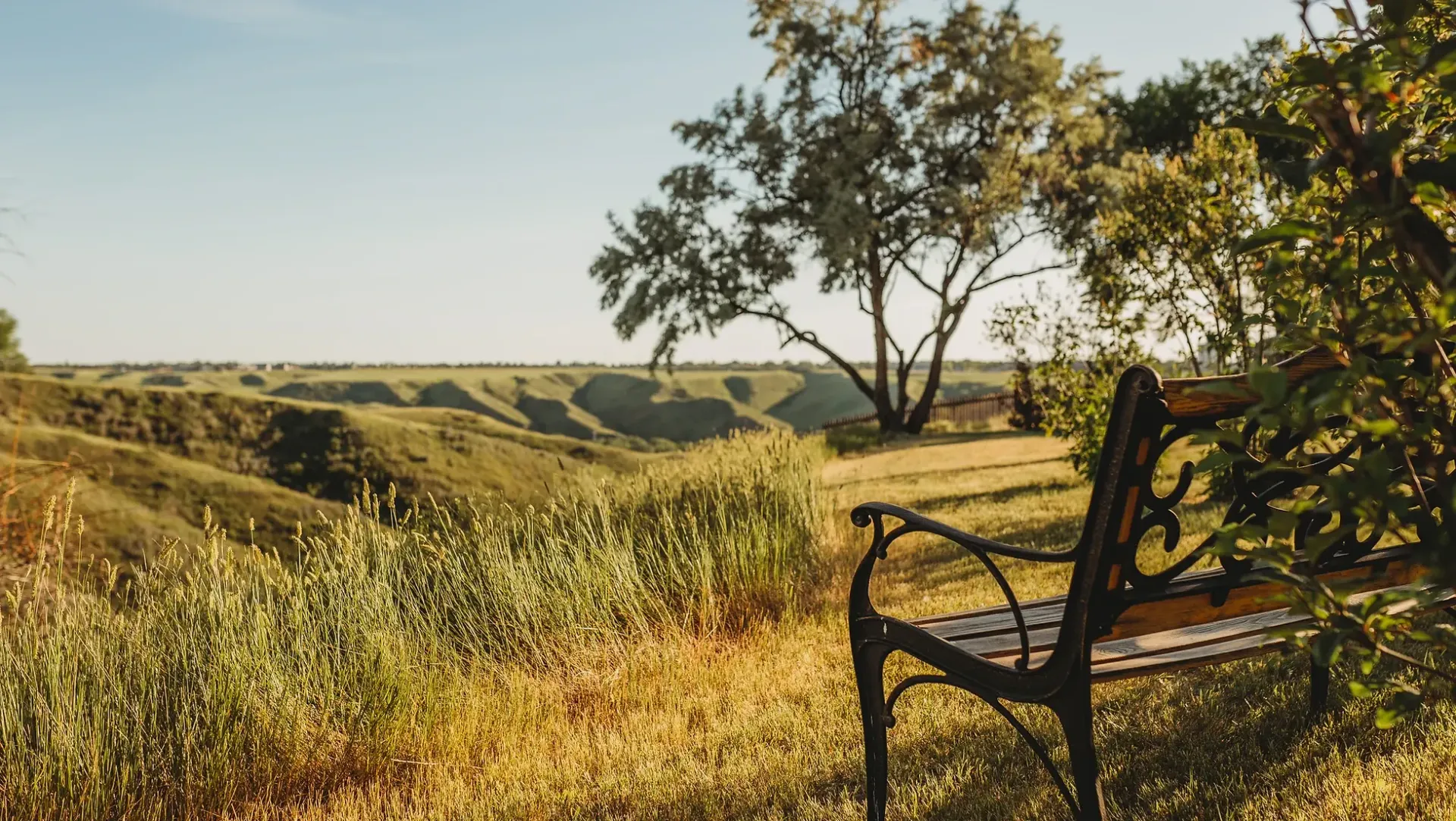 A bench is sitting in the middle of a field with a view of a valley.