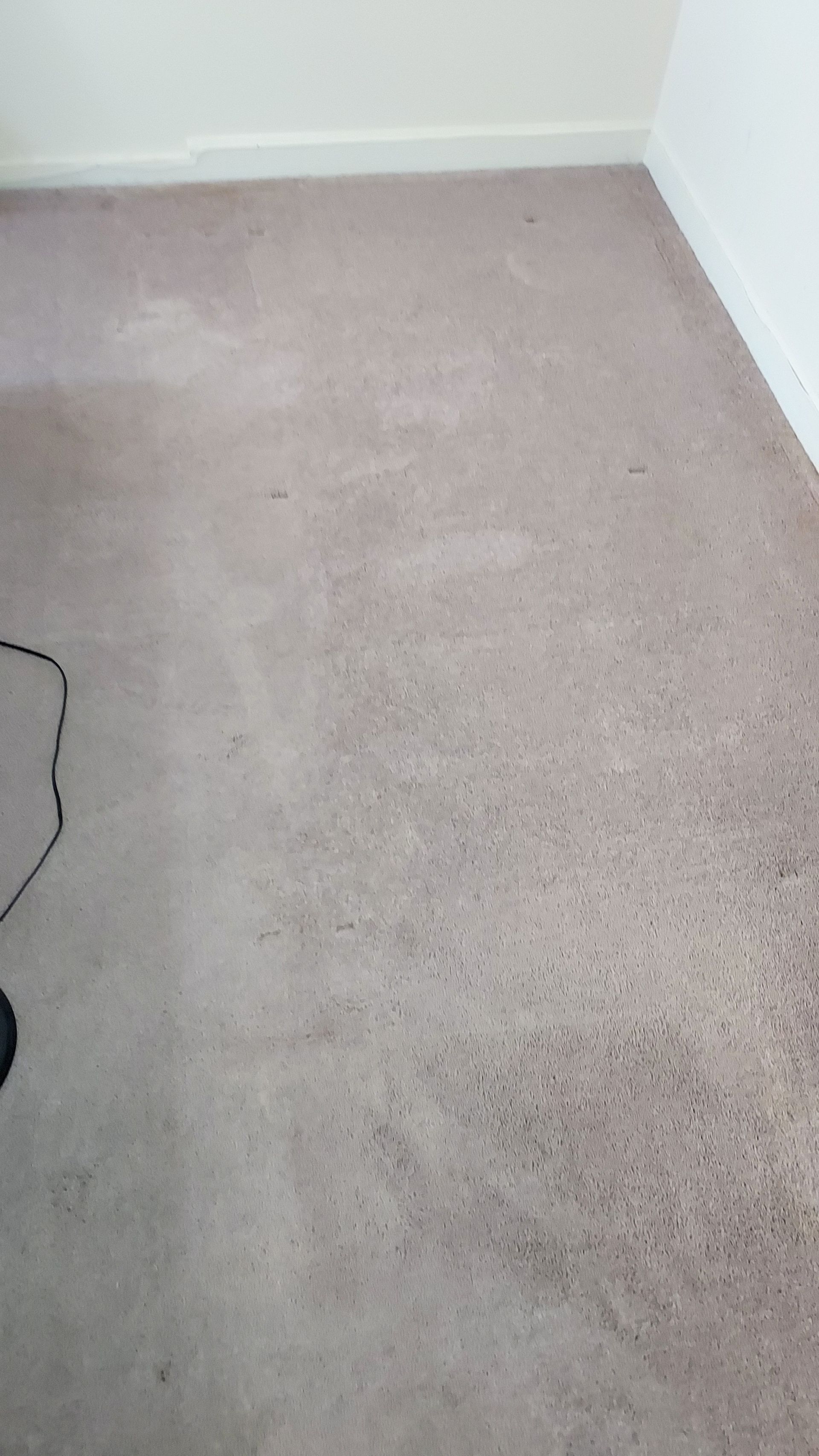 Light brown carpet in a room with white walls and baseboards.
