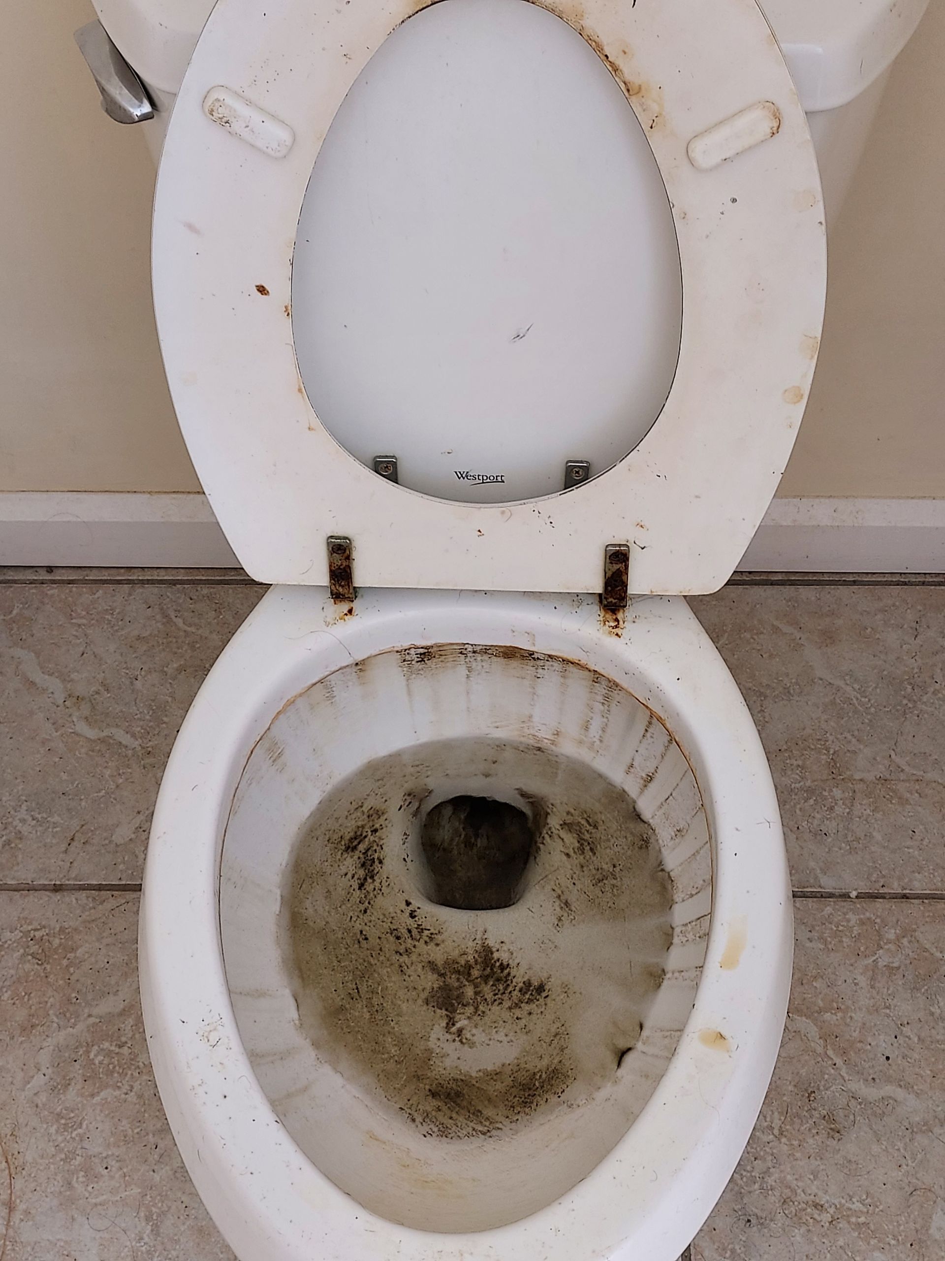 Dirty toilet with stained bowl and rust around the rim, open lid.