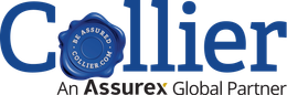 The logo for putnam white lewis insurance agency inc.