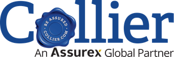 The logo for putnam white lewis insurance agency inc.