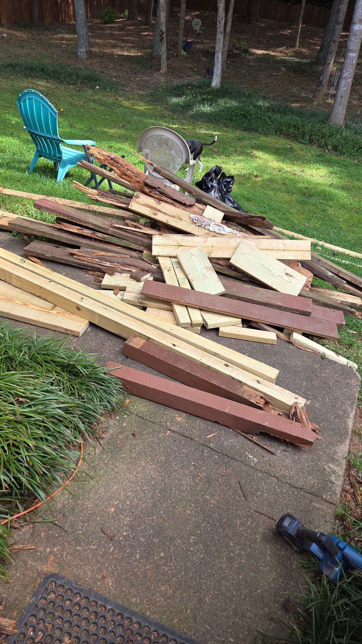 Pile of wood debris on a concrete slab, with a saw, chair, and trees in the background.