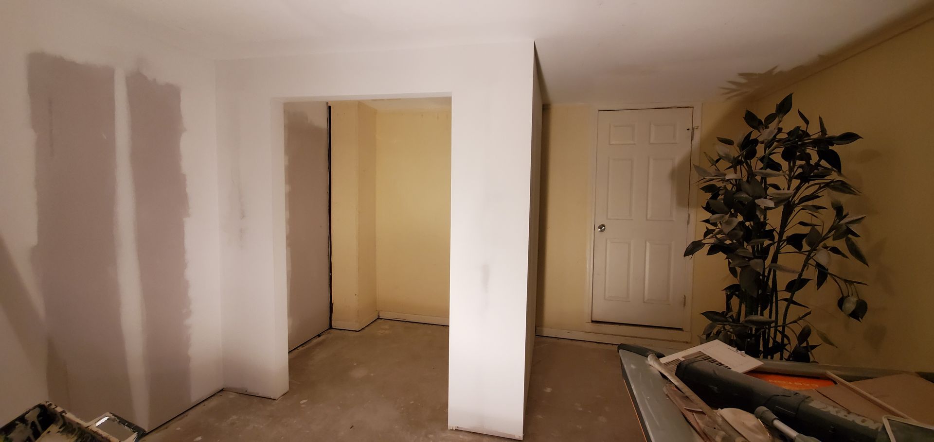 Interior room during renovation, unfinished walls, doorway, door, plant.