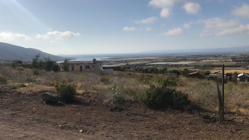 Overlooking Pacific ocean scattered clouds. A new build is visible on a hillside, and vegetation is in the foreground.