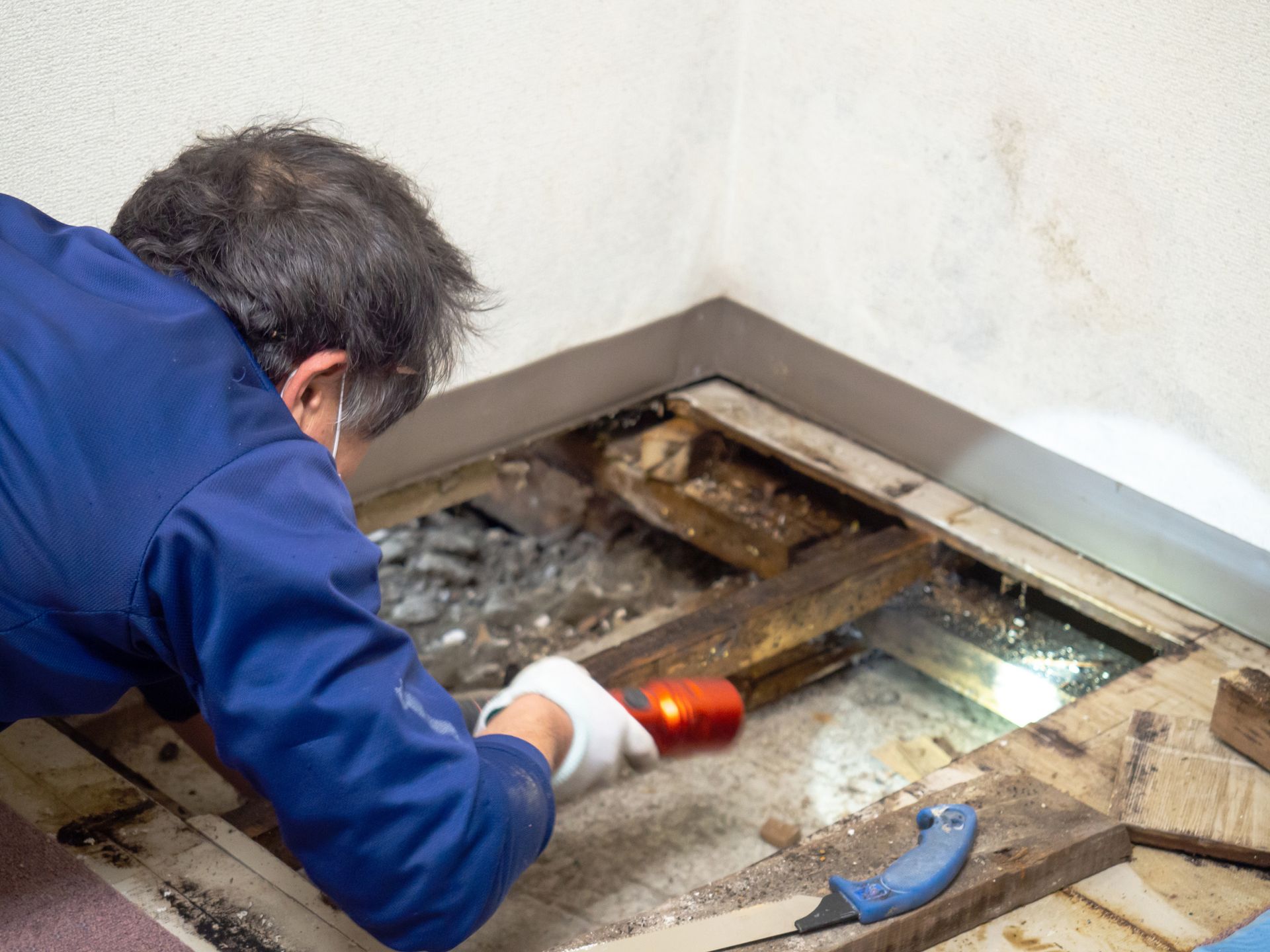 A wildlife animal control worker is checking under a floor space with a flashlight.