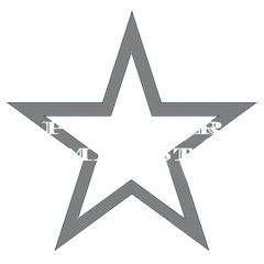 Pioneer Gymnastics logo