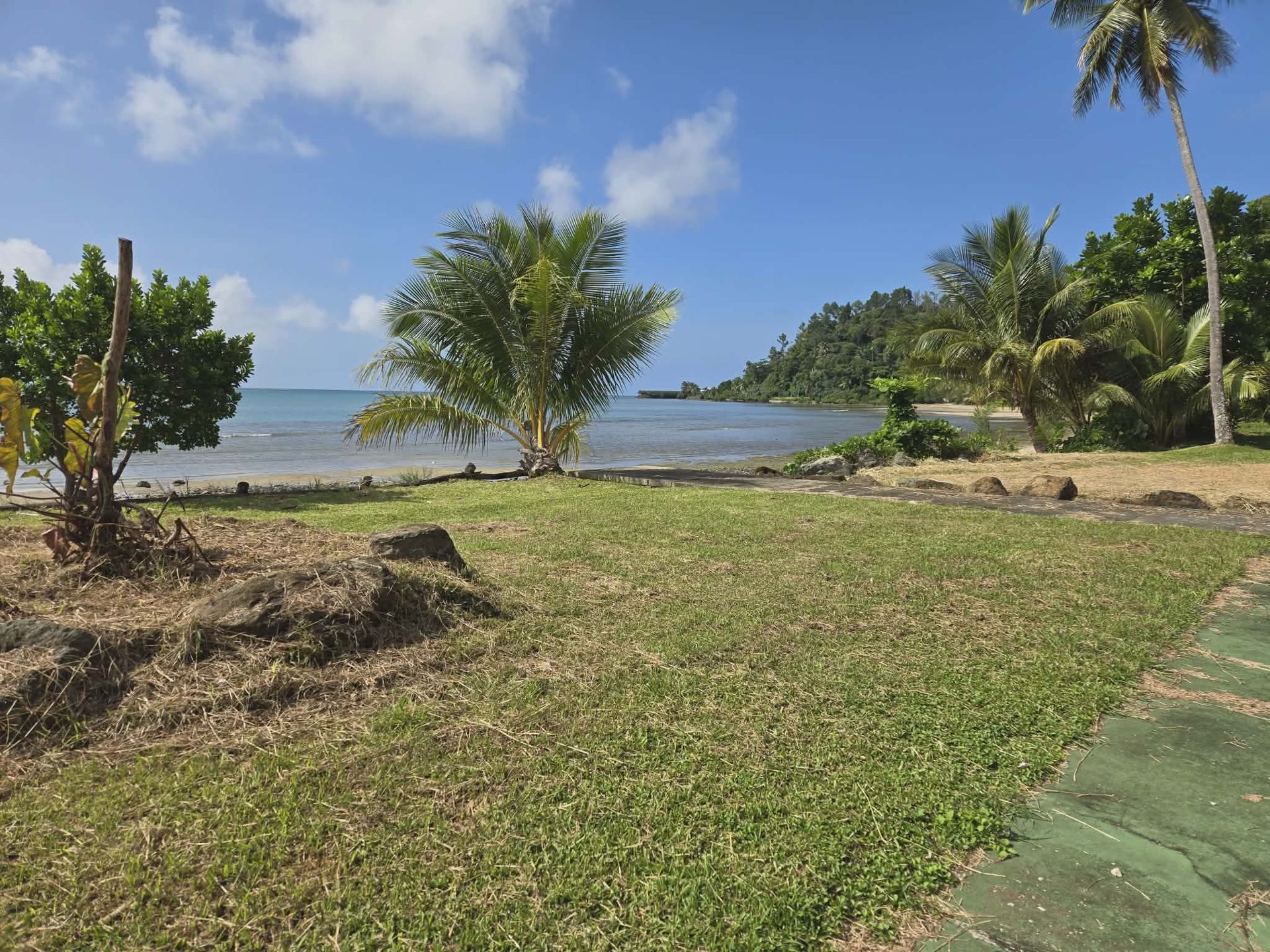 A grassy lawn leads to a tropical beach with palm trees and a lush, tree-covered headland under a clear blue sky.