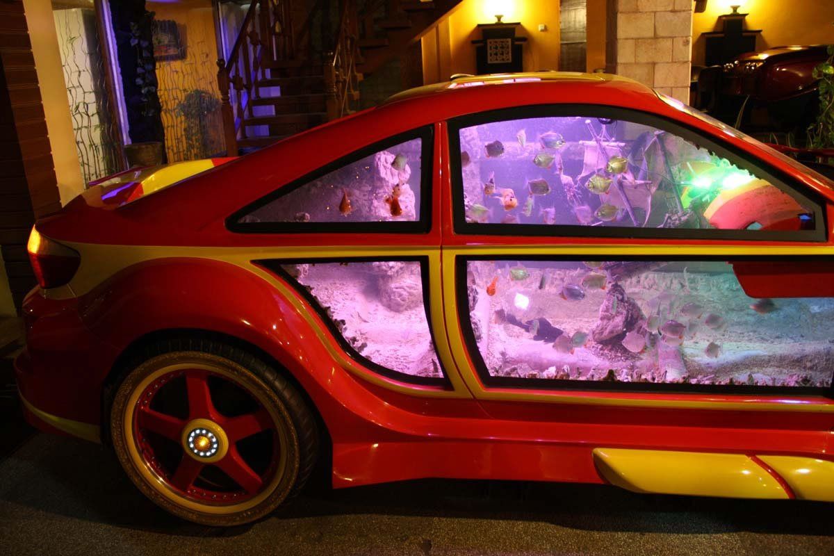 Most aquarium cars in a restaurant: Dream Cars Restaurant 2 sets world record (VIDEO)