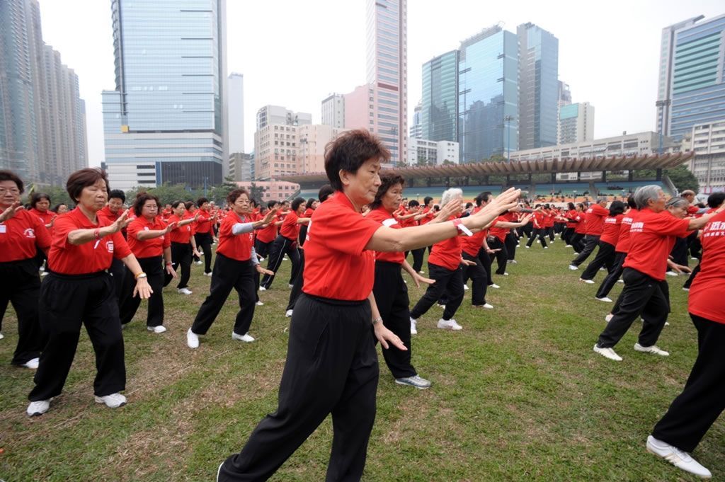 Largest Kung Fu Display of Diverse Styles: Chinese Kung Fu Fans set world record