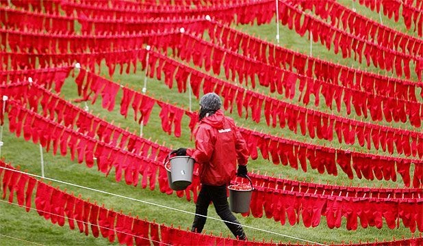  Longest line of socks: New Zealand sets world record (Video)
