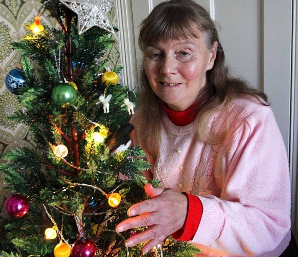 Oldest Christmas tree lights: 42 year old fairy lights sets world record