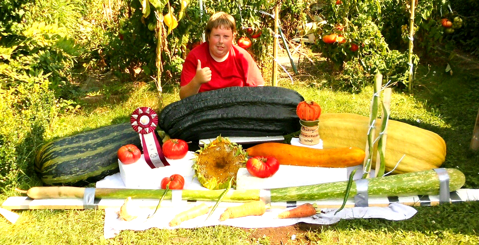 Most giant vegetable varieties cultivated in one garden: world record set by Patrick Teichmann