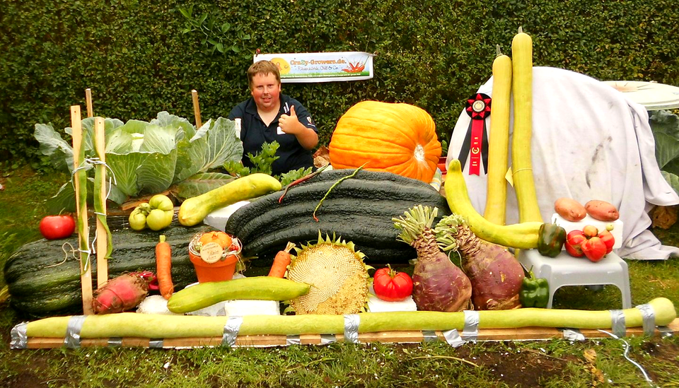 Most giant vegetable varieties cultivated in one garden world record