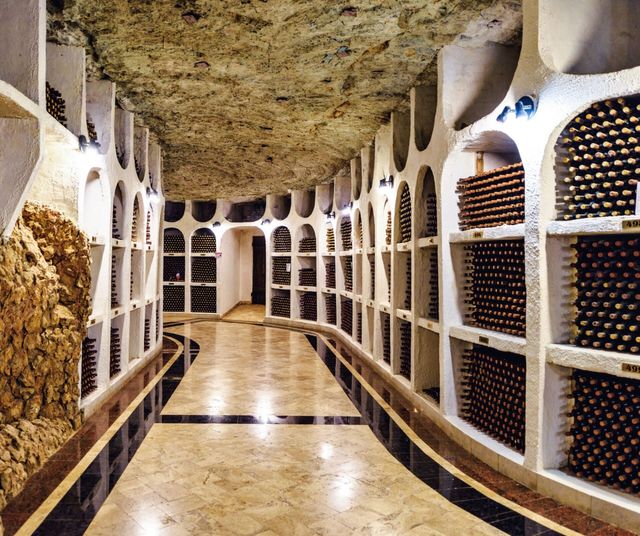 Final crocodile bust Largest wine cellar by number of bottles: world record set by The Milestii  Mici Winery